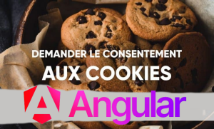 cookies rgpd angular